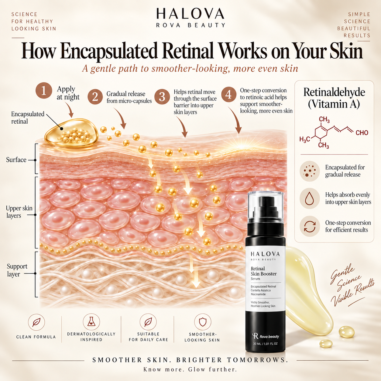 Educational dermatology diagram showing encapsulated retinaldehyde applied at night, gradual release in upper skin layers and one enzymatic conversion toward retinoic acid